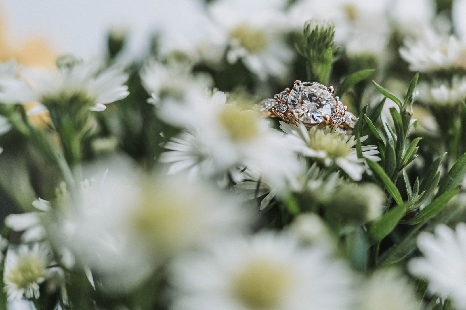 engaged in Idaho Falls wedding ring in white flowers