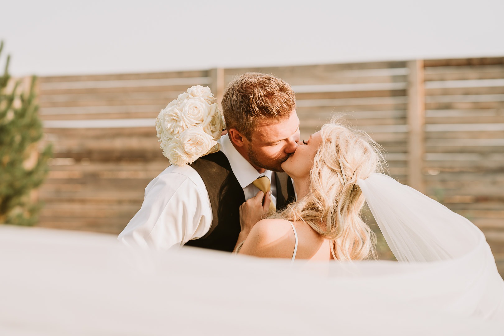 wedding photographer prices with veil and couple kissing