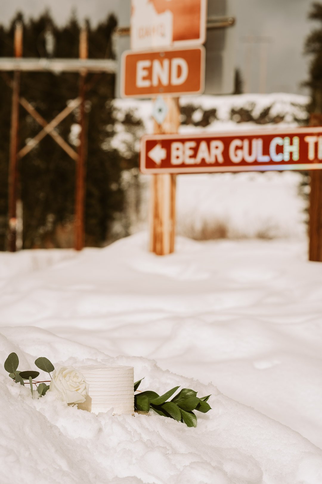 lashayandlight-00037